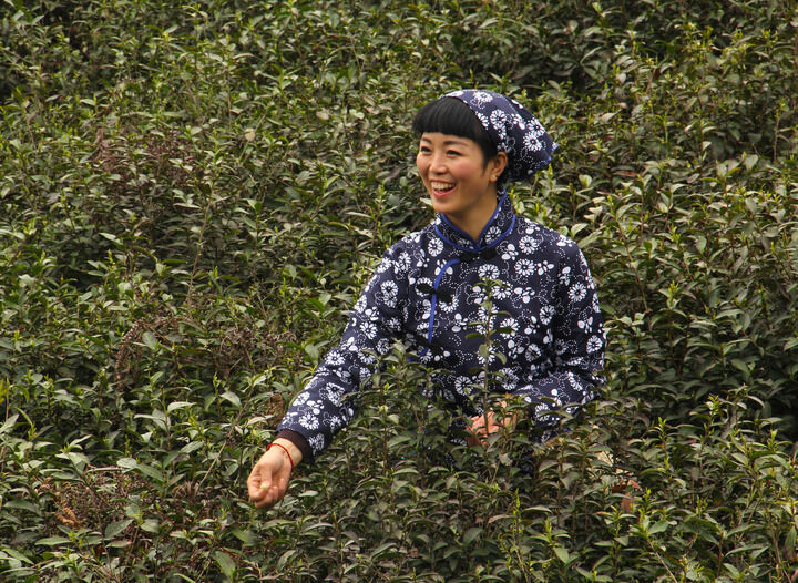 暗黑欲火